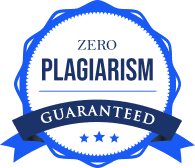 Zero Plagiarism Guarantee